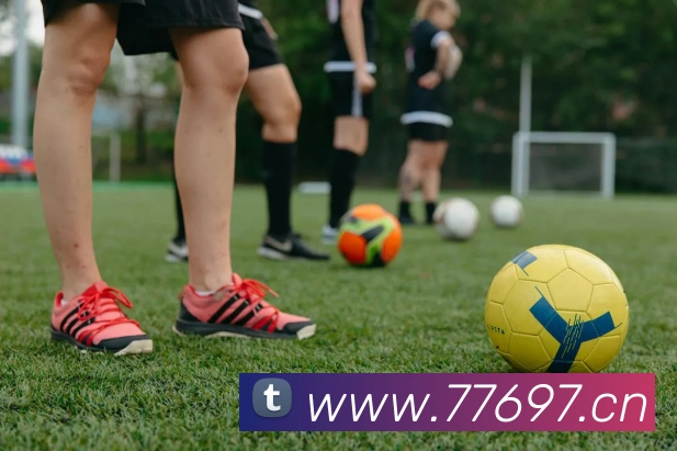 乐竞官方在线登录入口平台生态图